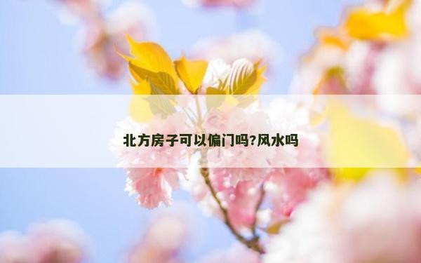 北方房子可以偏門嗎?風水嗎 北方房子可以偏門嗎?風水嗎