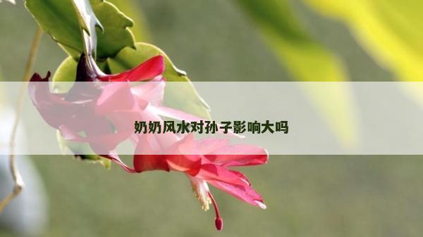 奶奶風水對孫子影響大嗎
