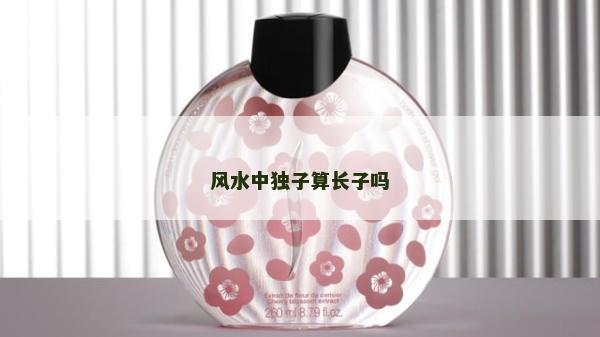 風水中獨子算長子嗎
