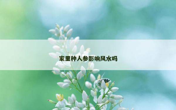 家里種人參影響風水嗎
