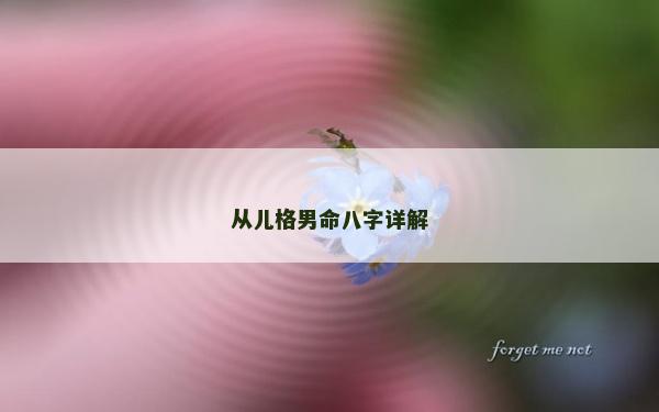 從兒格男命八字詳解