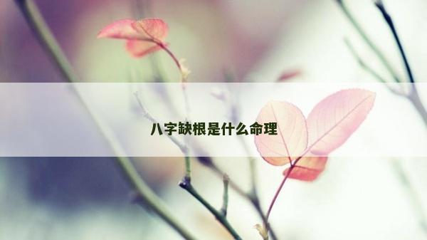 八字缺根是什么命理