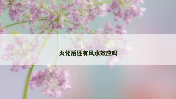 火化后還有風(fēng)水效應(yīng)嗎 火化后還有風(fēng)水效應(yīng)嗎