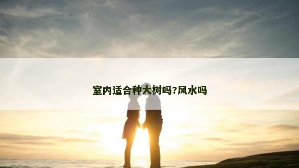 室內(nèi)適合種大樹嗎?風(fēng)水嗎