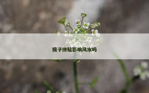 鏡子拼貼影響風水嗎