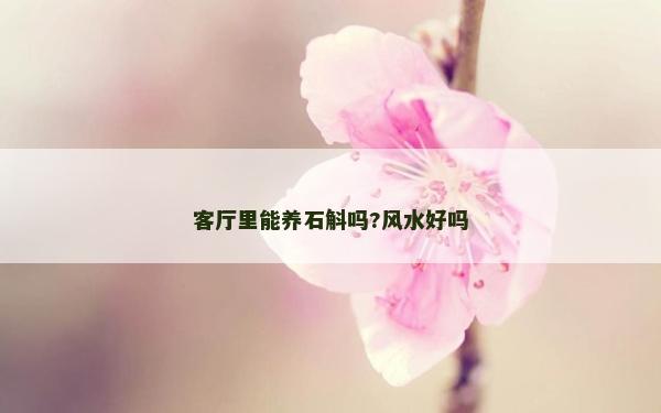 客廳里能養(yǎng)石斛嗎?風水好嗎