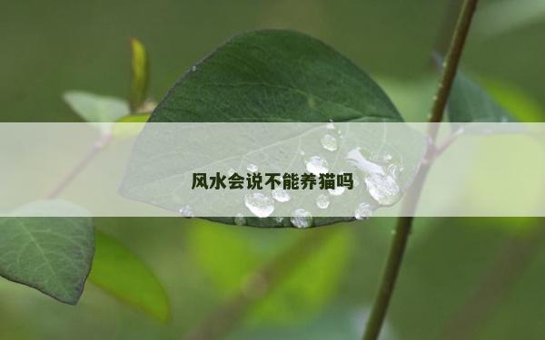 風水會說不能養貓嗎