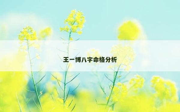 王一博八字命格分析 王一博八字命格分析