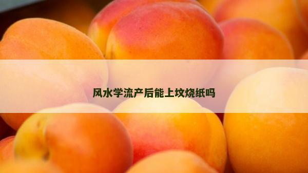 風水學流產后能上墳燒紙嗎