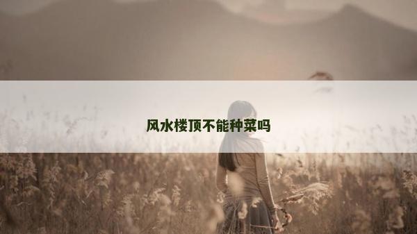 風水樓頂不能種菜嗎
