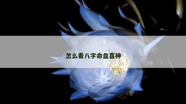 怎么看八字命盤喜神