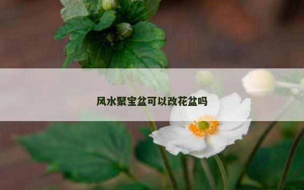 風(fēng)水聚寶盆可以改花盆嗎