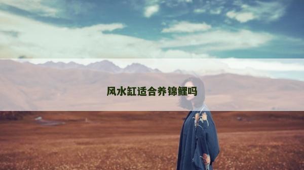 風水缸適合養錦鯉嗎