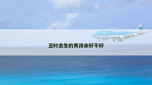 丑時出生的男孩命好不好