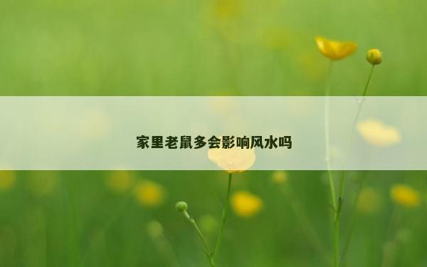家里老鼠多會影響風水嗎 家里老鼠多會影響風水嗎