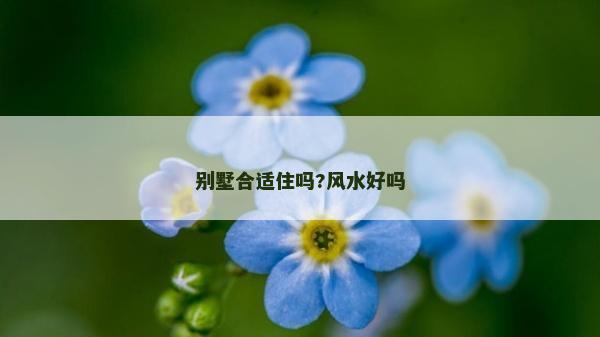 別墅合適住嗎?風水好嗎