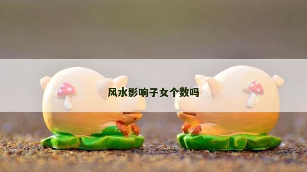 風(fēng)水影響子女個(gè)數(shù)嗎