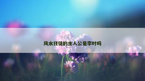 風水狂徒的主人公是李時嗎