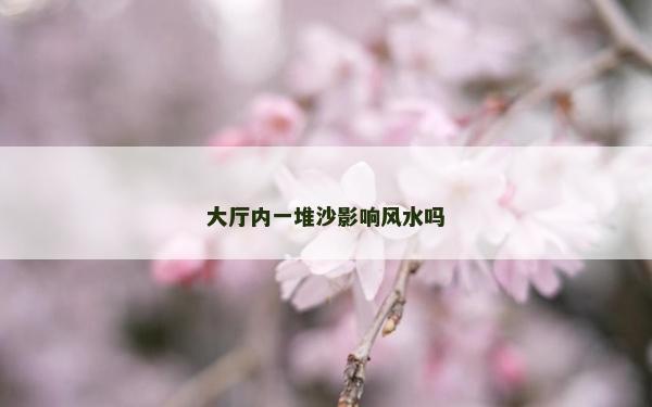 大廳內一堆沙影響風水嗎