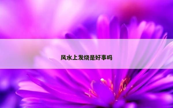 風水上發燒是好事嗎