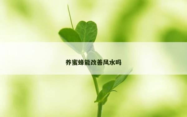 養(yǎng)蜜蜂能改善風水嗎