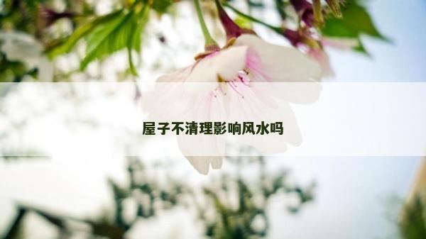 屋子不清理影響風水嗎 屋子不清理影響風水嗎
