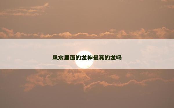 風(fēng)水里面的龍神是真的龍嗎