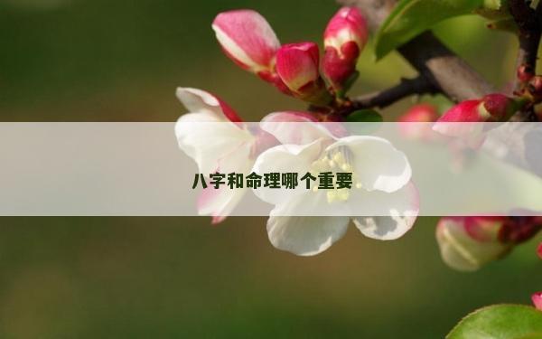 八字和命理哪個(gè)重要