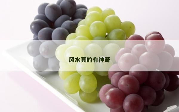 風(fēng)水真的有神奇