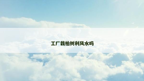 工廠栽柏樹(shù)利風(fēng)水嗎