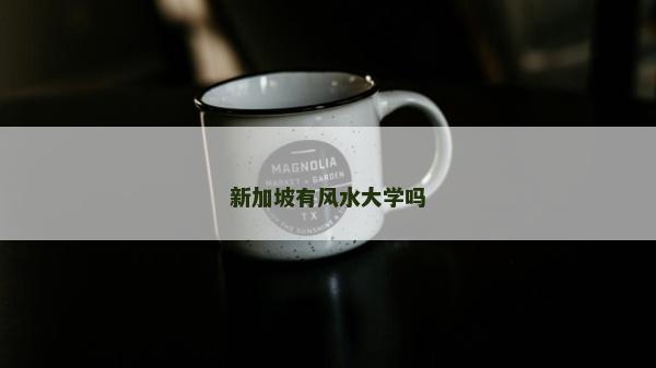 新加坡有風水大學嗎 新加坡有風水大學嗎