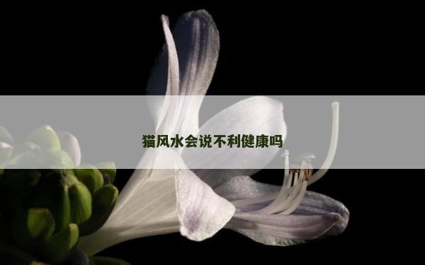 貓風(fēng)水會(huì)說(shuō)不利健康嗎 貓風(fēng)水會(huì)說(shuō)不利健康嗎