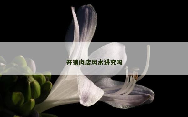 開豬肉店風水講究嗎