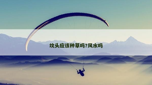 墳頭應該種草嗎?風水嗎 墳頭應該種草嗎?風水嗎