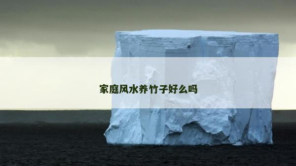 家庭風水養竹子好么嗎
