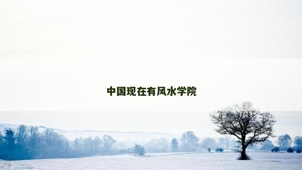 中國(guó)現(xiàn)在有風(fēng)水學(xué)院