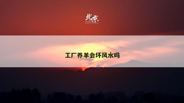 工廠養羊會壞風水嗎
