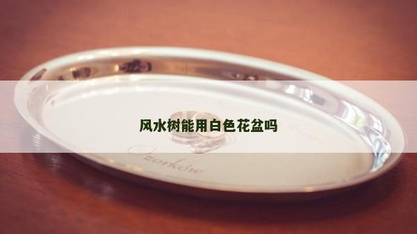 風水樹能用白色花盆嗎 風水樹能用白色花盆嗎