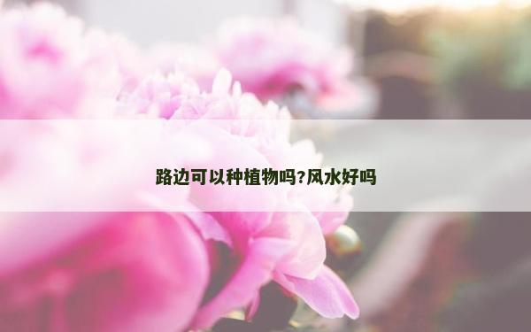 路邊可以種植物嗎?風(fēng)水好嗎