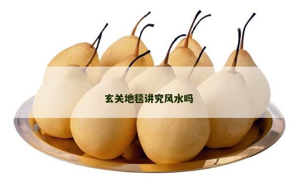 玄關(guān)地毯講究風(fēng)水嗎
