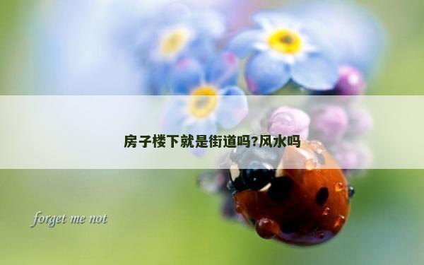 房子樓下就是街道嗎?風水嗎