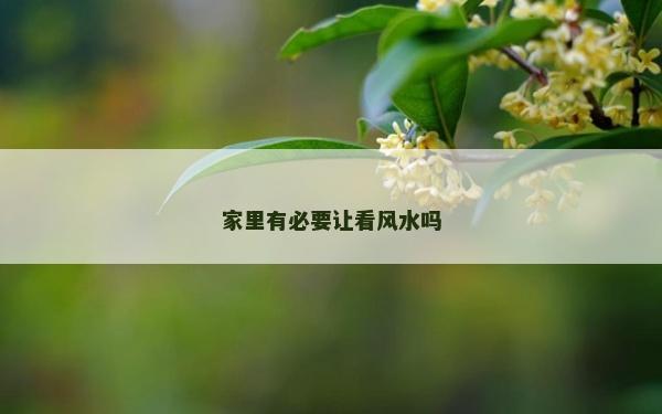 家里有必要讓看風(fēng)水嗎