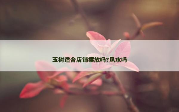 玉樹適合店鋪擺放嗎?風水嗎