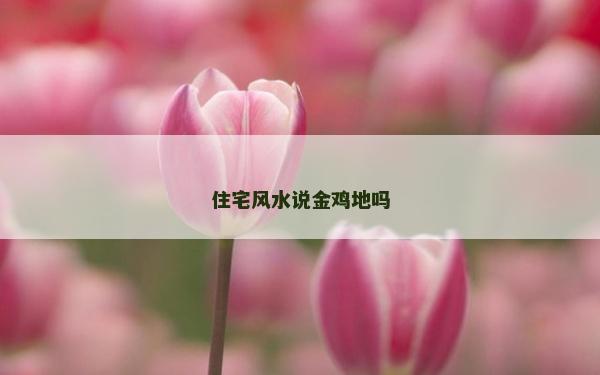 住宅風(fēng)水說金雞地嗎