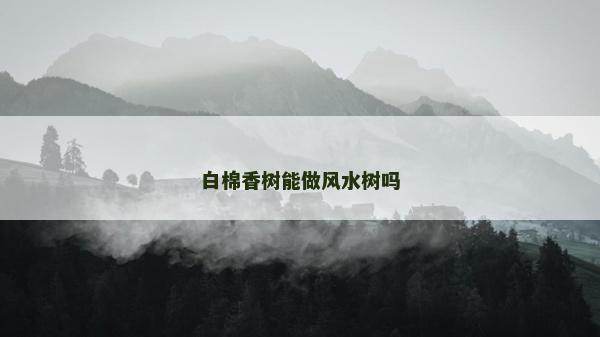 白棉香樹能做風水樹嗎