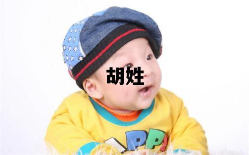 胡姓優美大方的男孩名字