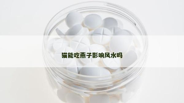 貓能吃燕子影響風(fēng)水嗎