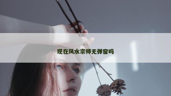現在風水宗師無彈窗嗎