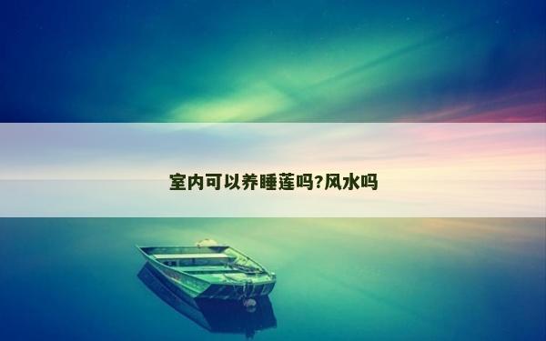室內(nèi)可以養(yǎng)睡蓮嗎?風(fēng)水嗎 室內(nèi)可以養(yǎng)睡蓮嗎?風(fēng)水嗎