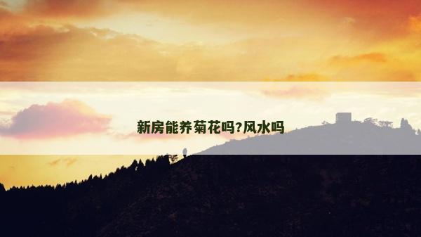 新房能養(yǎng)菊花嗎?風(fēng)水嗎